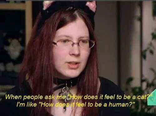 does it feel to be a cat - When people ask me "How does it feel to be a cat? I'm "How does it feel to be a human?"