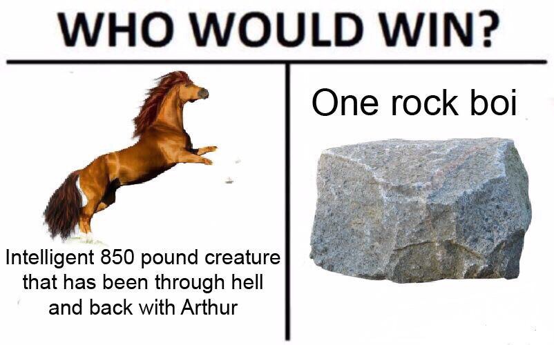 memes - red dead redemption 2 funny - Who Would Win? One rock boi Intelligent 850 pound creature that has been through hell and back with Arthur