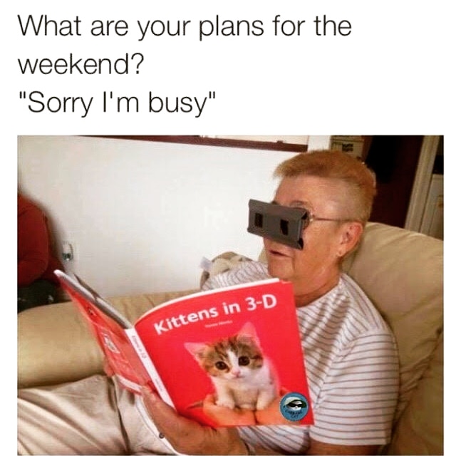 dank meme - cat lady memes - What are your plans for the weekend? "Sorry I'm busy" Kittens in 3D