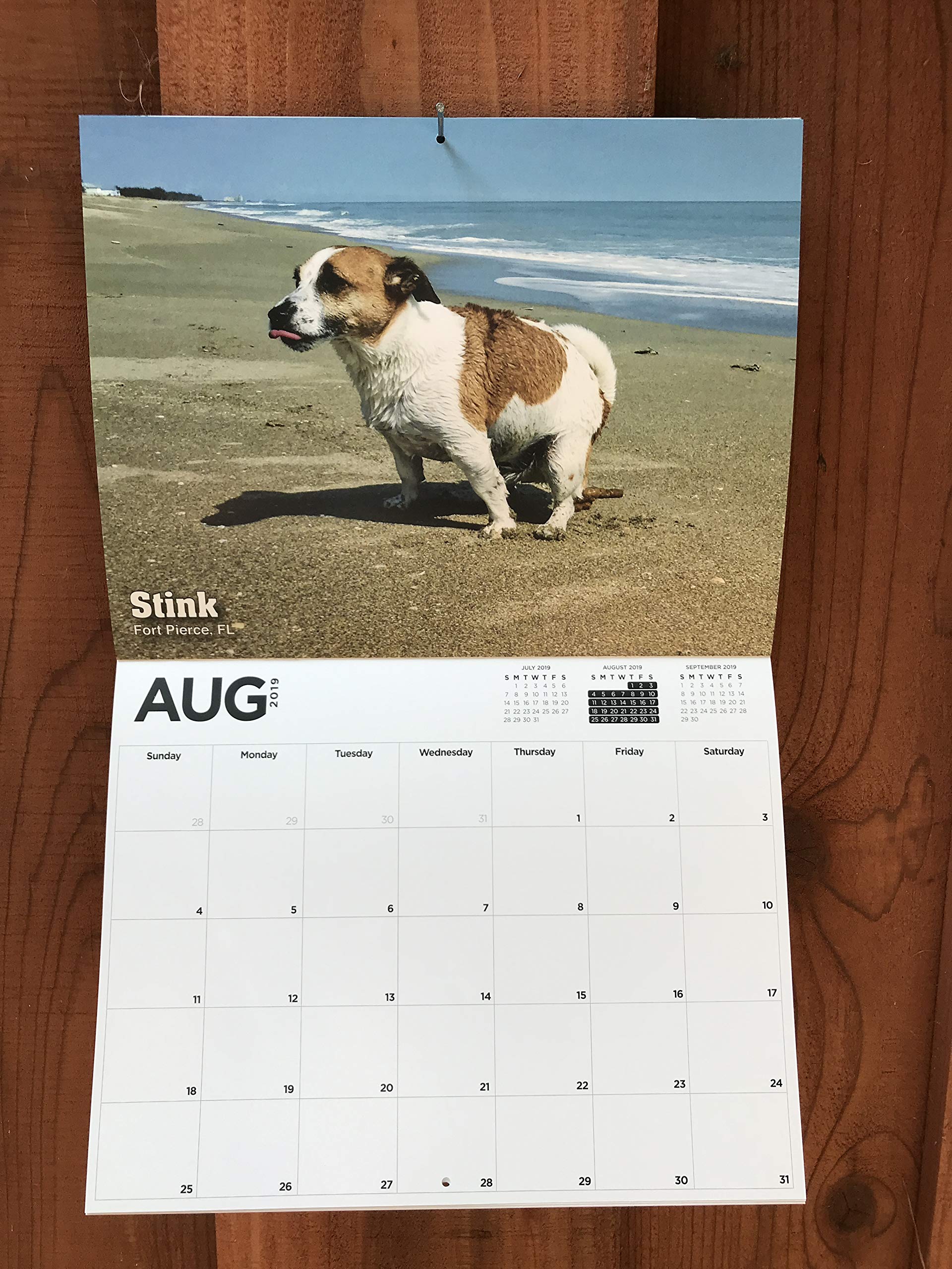 2019 Calendar of Dogs Pooping Is This Years Must Have Gift