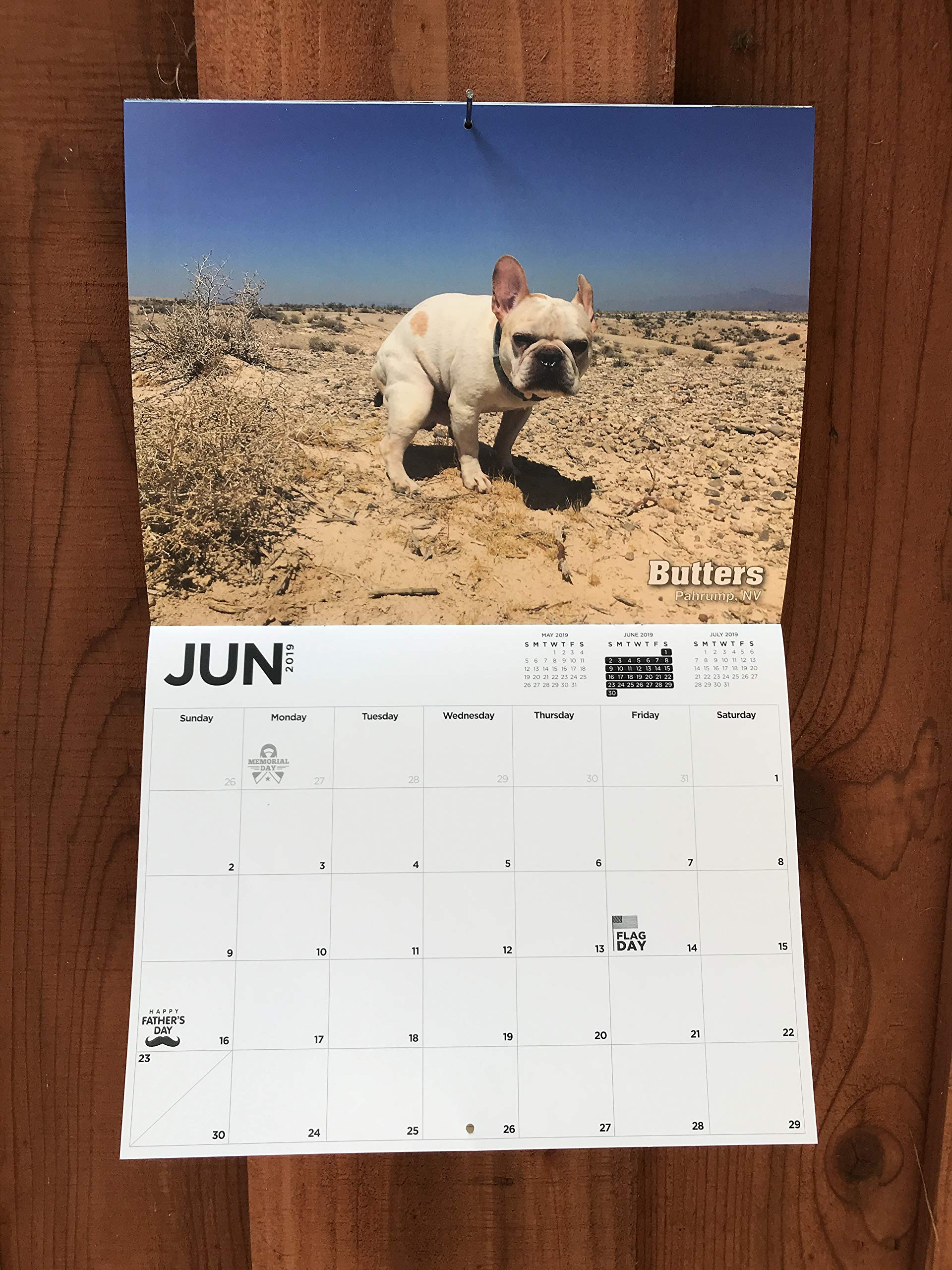 2019 Calendar of Dogs Pooping Is This Years Must Have Gift