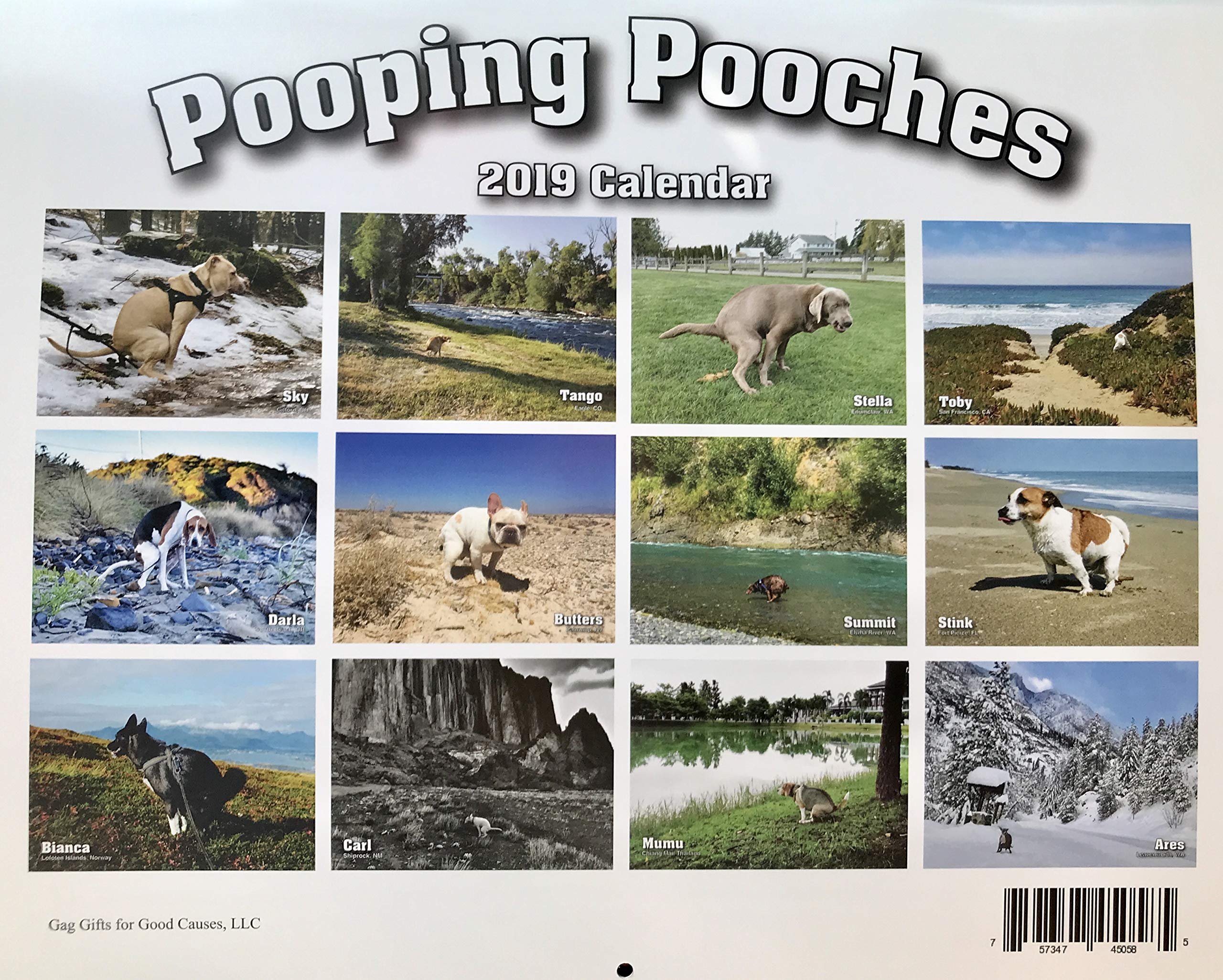 2019 Calendar of Dogs Pooping Is This Years Must Have Gift