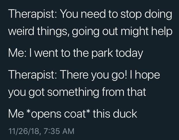 funny quotes - Therapist You need to stop doing weird things, going out might help Me I went to the park today Therapist There you go! I hope you got something from that Me opens coat this duck 112618,