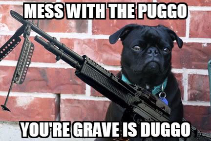 memes - animals with weapons meme - Mess With The Puggo You'Re Grave Is Duggo