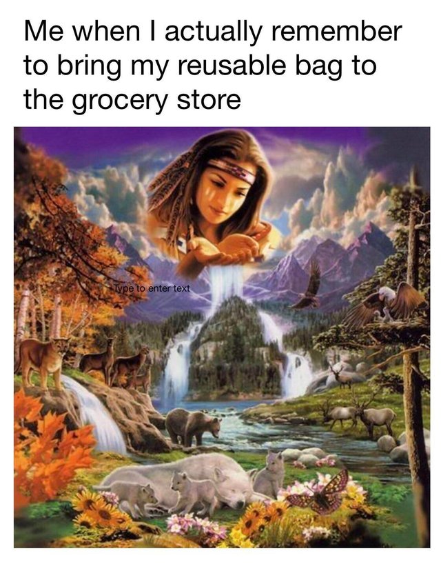 wholesome meme of a remember my reusable bags - Me when I actually remember to bring my reusable bag to the grocery store Type to enter text