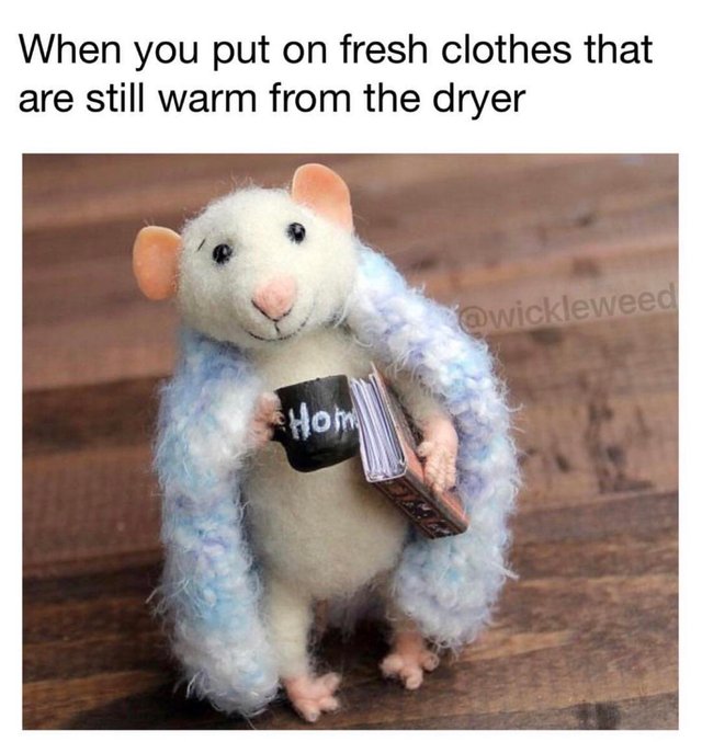 wholesome meme of a When you put on fresh clothes that are still warm from the dryer Hom