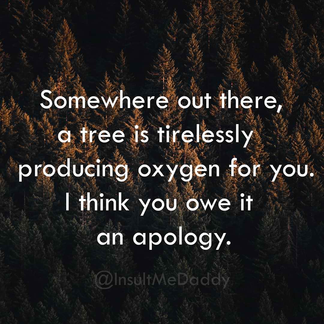 Insult - Somewhere out there, a tree is tirelessly producing oxygen for you. I think you owe it an apology.