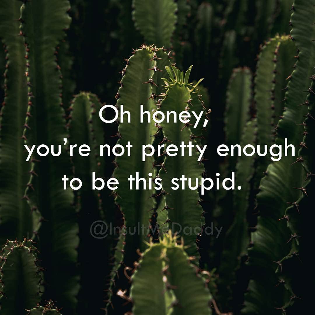 vegetation - Oh honey; you're not pretty enough to be this stupid. a Paddy