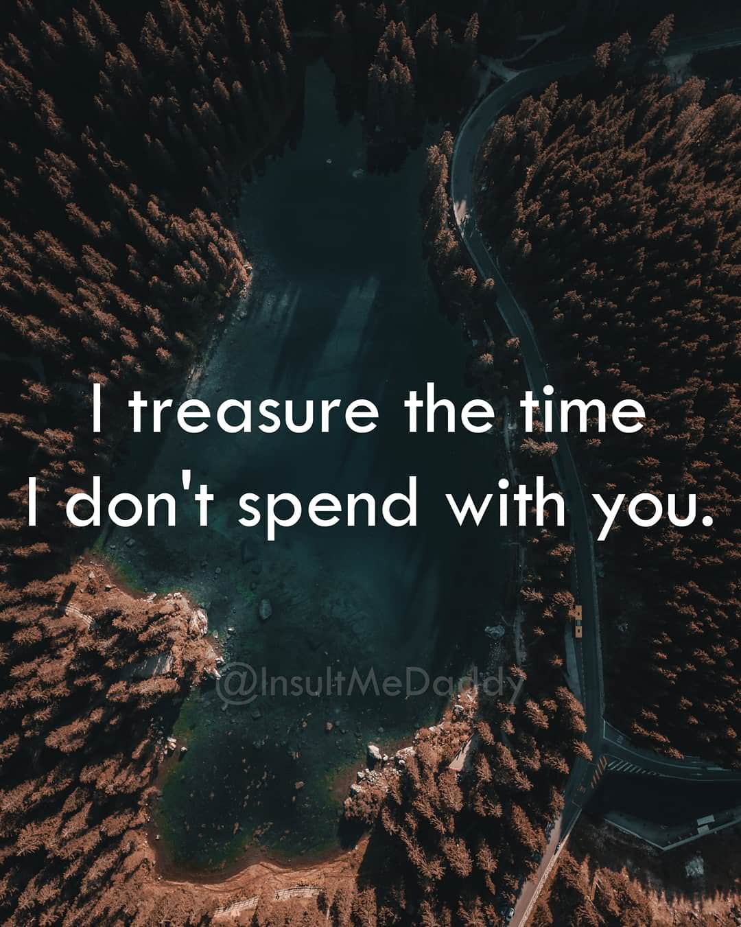 Insult - I treasure the time I don't spend with you. InsultMeDar