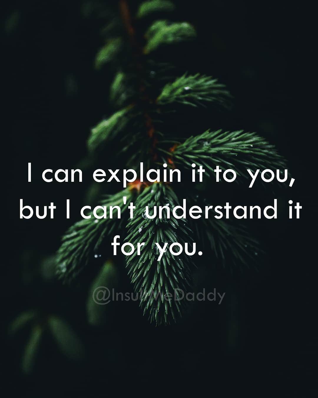 fir - I can explain it to you, but I can't understand it 7 for you. Daddy