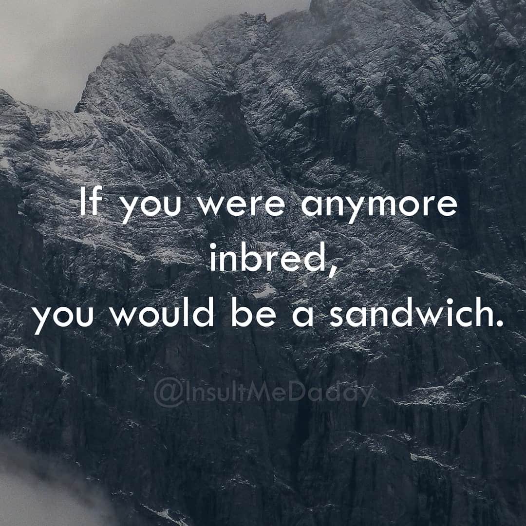 fog mountain - If you were anymore inbred, you would be a sandwich.