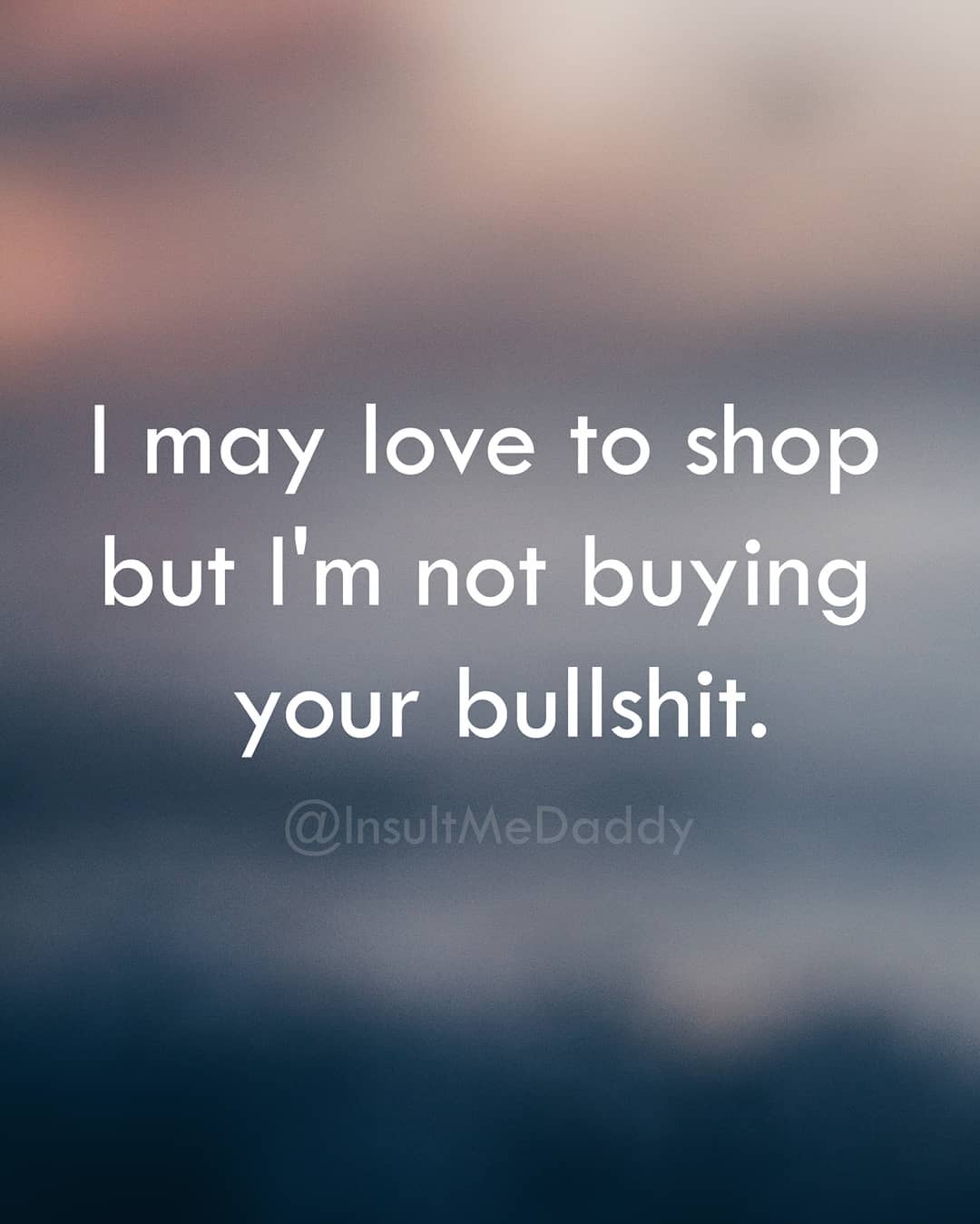 better partner - I may love to shop but I'm not buying your bullshit.