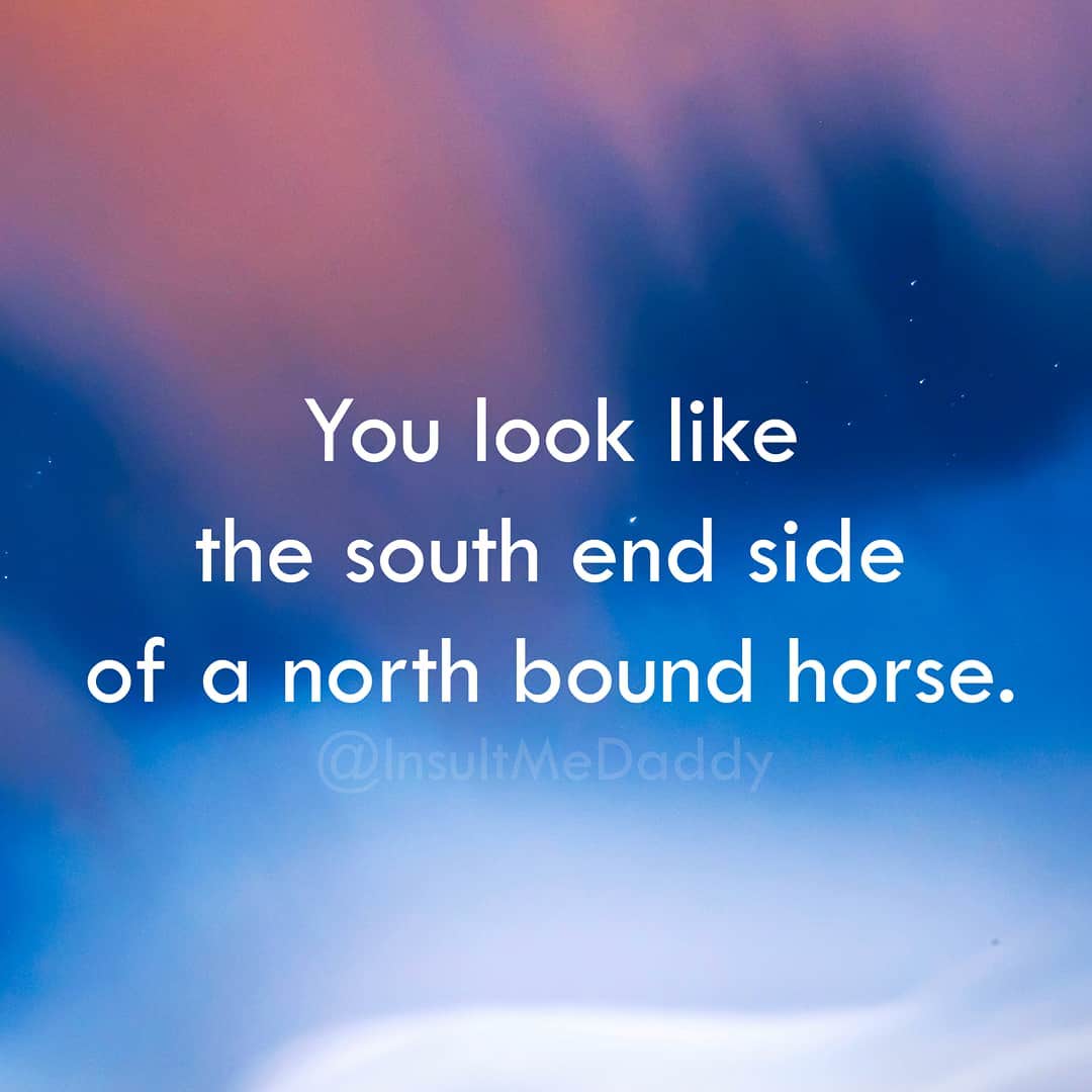 sky - You look the south end side of a north bound horse. Hmedo