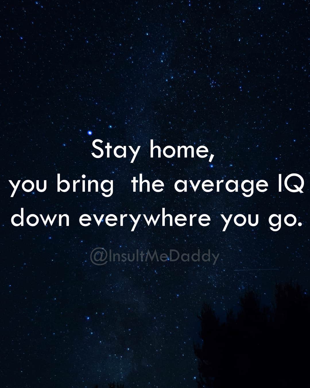 secret life of bees quotes - Stay home, you bring the average Iq down everywhere you go.