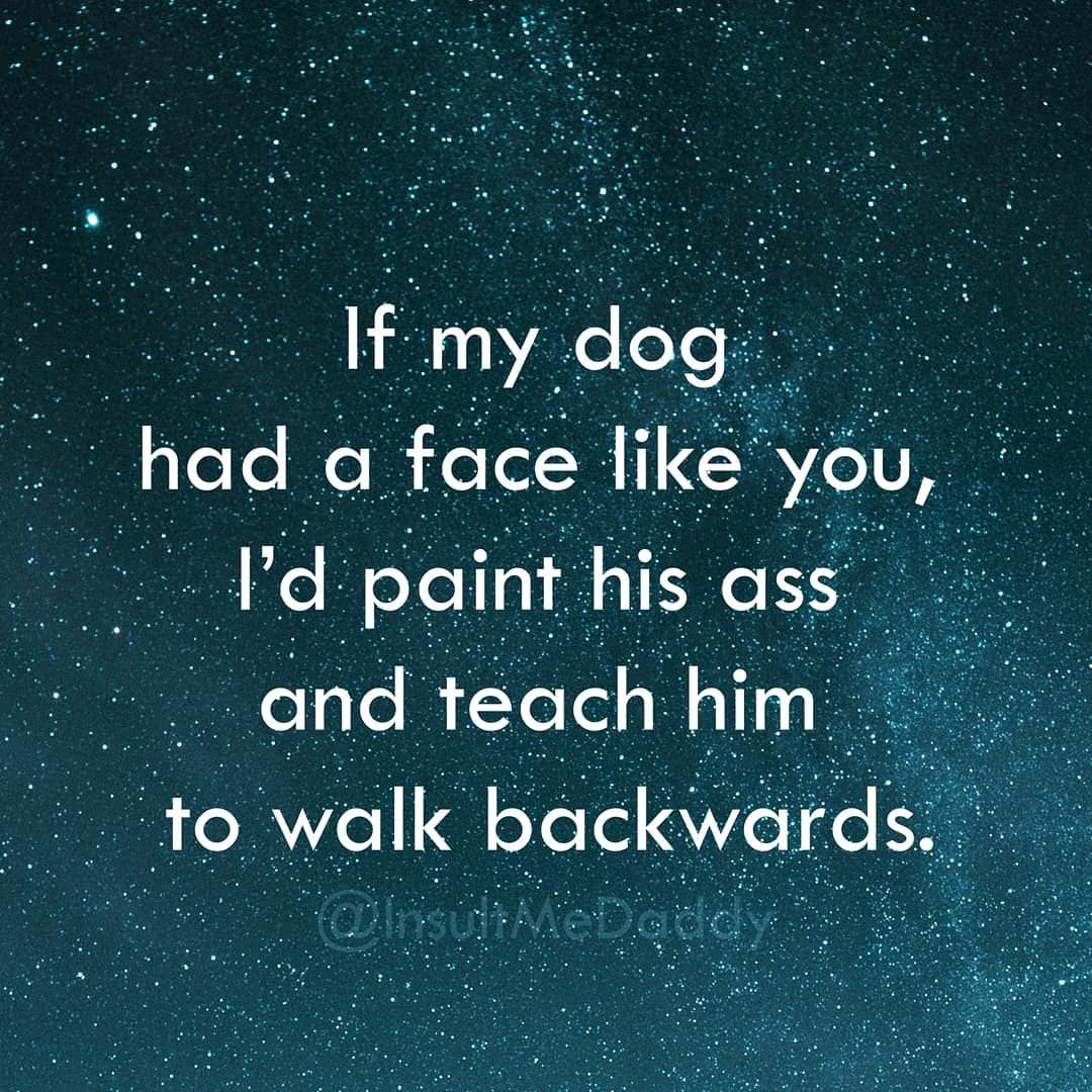 secret life of bees quotes - If my dog had a face you, I'd paint his ass and teach him to walk backwards.
