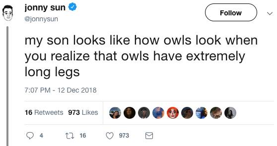 tweet - angle - jonny sun my son looks how owls look when you realize that owls have extremely long legs 16 973 200 Obo 94 12 16 973