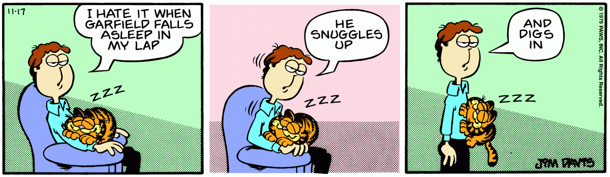 The two-ships-missing-each-other-in-the-night relationship that cats have with their owners is a two-way street. Garfield's happy to be affectionate, but often only when Jon seems cold or disinterested. 