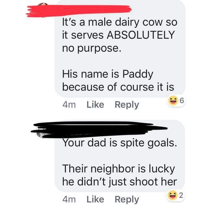 It's a male dairy cow so it serves Absolutely no purpose. His name is Paddy because of course it is 4m Your dad is spite goals. Their neighbor is lucky he didn't just shoot her 4m