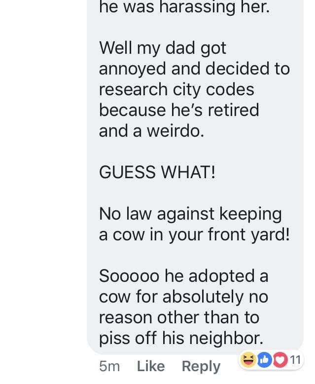number - he was harassing her. Well my dad got annoyed and decided to research city codes because he's retired and a weirdo. Guess What! No law against keeping a cow in your front yard! Sooooo he adopted a cow for absolutely no reason other than to piss o
