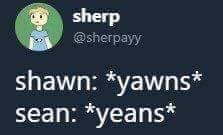 shawn sean - sherp shawn yawns sean yeans
