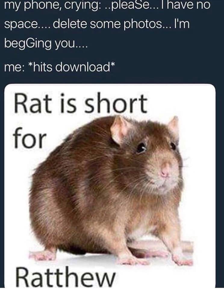 rat is short for ratthew - my phone, crying ..please... I have no space.... delete some photos... I'm begGing you.... me hits download Rat is short for Ratthew