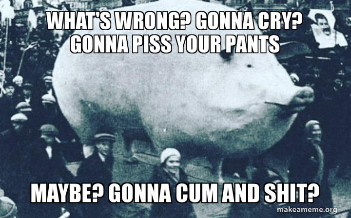 soviet demonstration pig - What'S Wrongp Gonna Cry? Gonna Piss Your Pants Maybe? Gonna Cum And Shit? makeameme.org