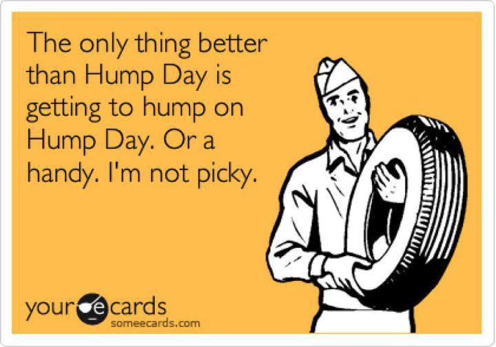 Meme of a guy holding a tire that says 'The only thing better than hump day is getting to hump on hump day. Or a handy. I'm not picky'