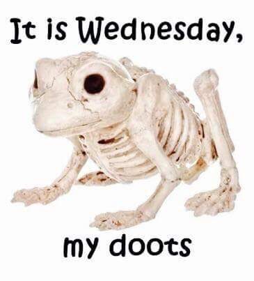 Hump Day meme of a frogs skeleton that says 'It is Wednesday, my doots'