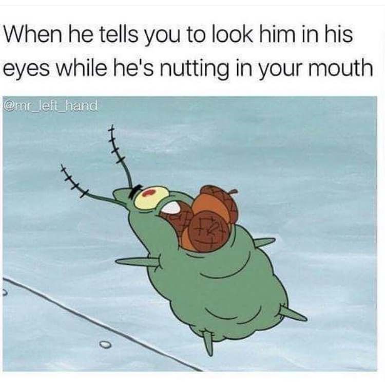 Funniest sex meme of Plankton from Spongebob Squarepants with acorns in his mouth with the text 'when he tells you to look him in his eyes while he's nutting in your mouth'