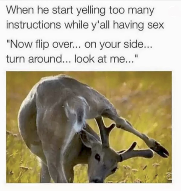 Funniest sex memes dear awkwardly bending and looking back with the text 'when he start yelling too many instructions while y'all having sex' 'now flip over... on your side.. turn around... look at me...'
