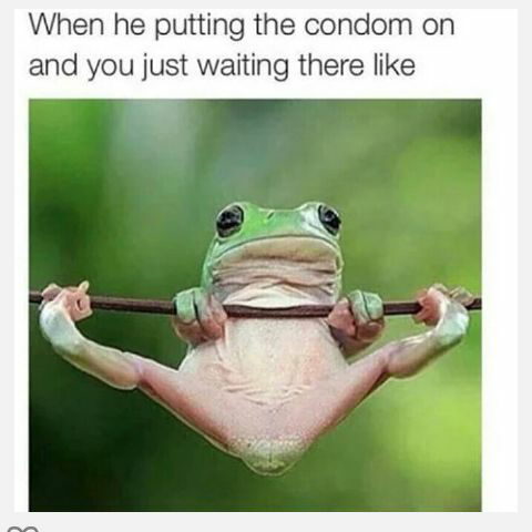 Funniest sex memes - frog on a stick with it's legs spread and the text 'when he putting on the condom and you just waiting there like