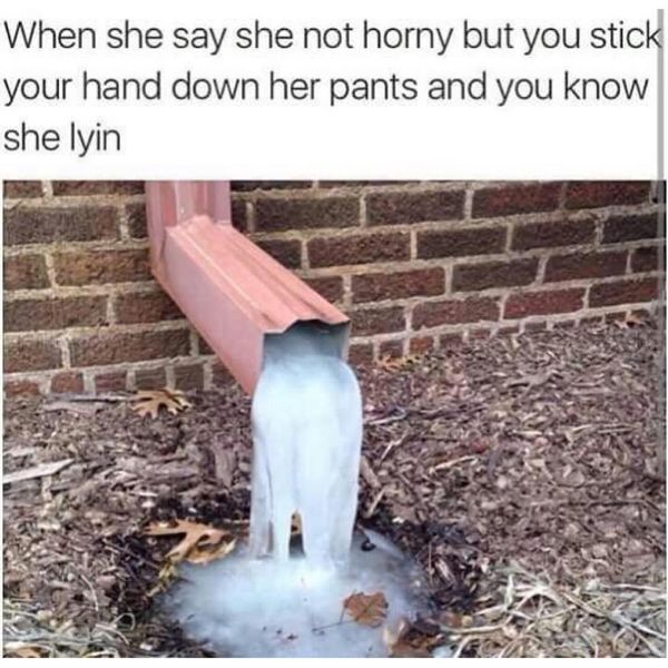 Funniest sex memes - frozen drawn pipe with ice coming out and the text 'when she say she not horny but you stick your hand down her pants and you know she lyin'