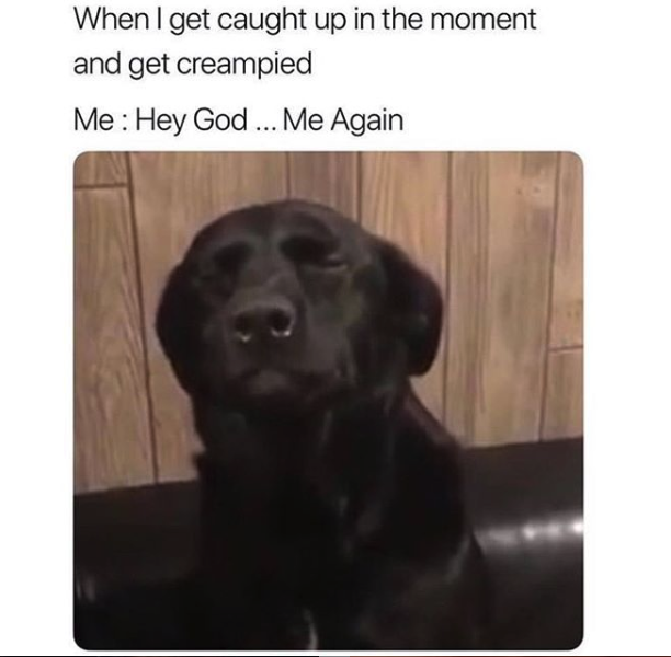 nasty memes - hey god it's me again dog meme - When I get caught up in the moment and get creampied Me Hey God... Me Again