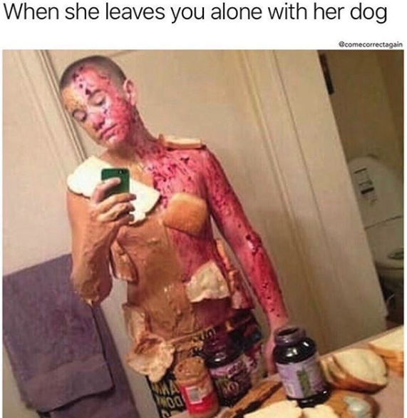 nasty memes - peanut butter and jelly kid - When she leaves you alone with her dog comecorrectagain