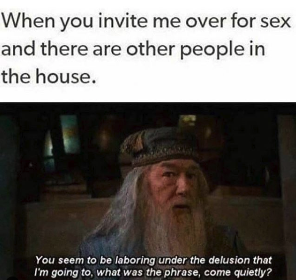 nasty memes - dirty sex meme - When you invite me over for sex and there are other people in the house. You seem to be laboring under the delusion that I'm going to what was the phrase, come quietly?