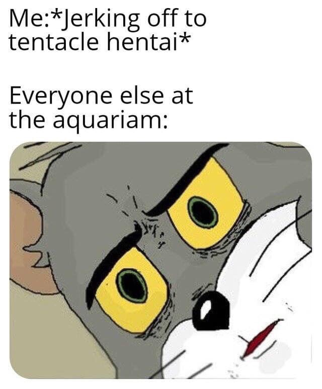 funny unsettled tom memes - MeJerking off to tentacle hentai Everyone else at the aquariam