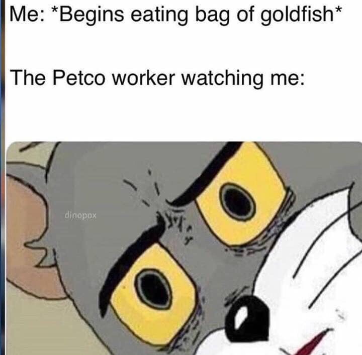 unsettled tom meme face - Me Begins eating bag of goldfish The Petco worker watching me dinopox