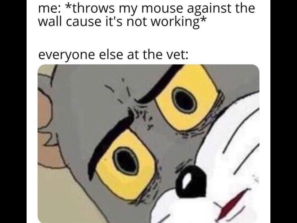 unsettled tom meme funeral - me throws my mouse against the wall cause it's not working everyone else at the vet