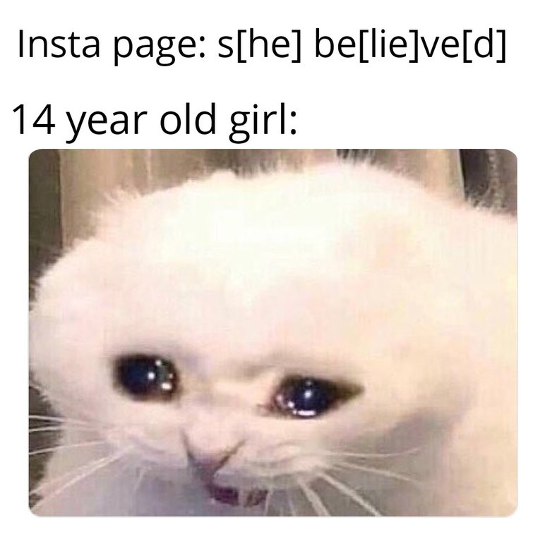14 yo girl meme - Insta page she believed 14 year old girl