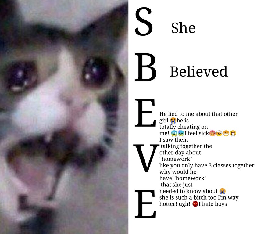 sbeve meme cat - Believed He lied to me about that other girl he is totally cheating on me! I feel sick . I saw them talking together the other day about "homework" you only have 3 classes together why would he have "homework" that she just needed to know