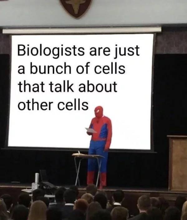 Funny science meme that is a guy in a spiderman costume in front of a screen that says 'biologists are just a bunch of cells that talk about other cells'