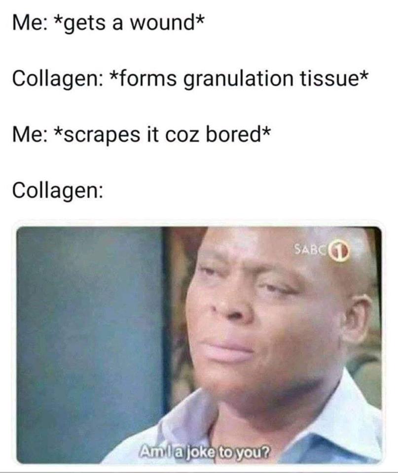 Funny science meme about granulation tissue and picking scabs