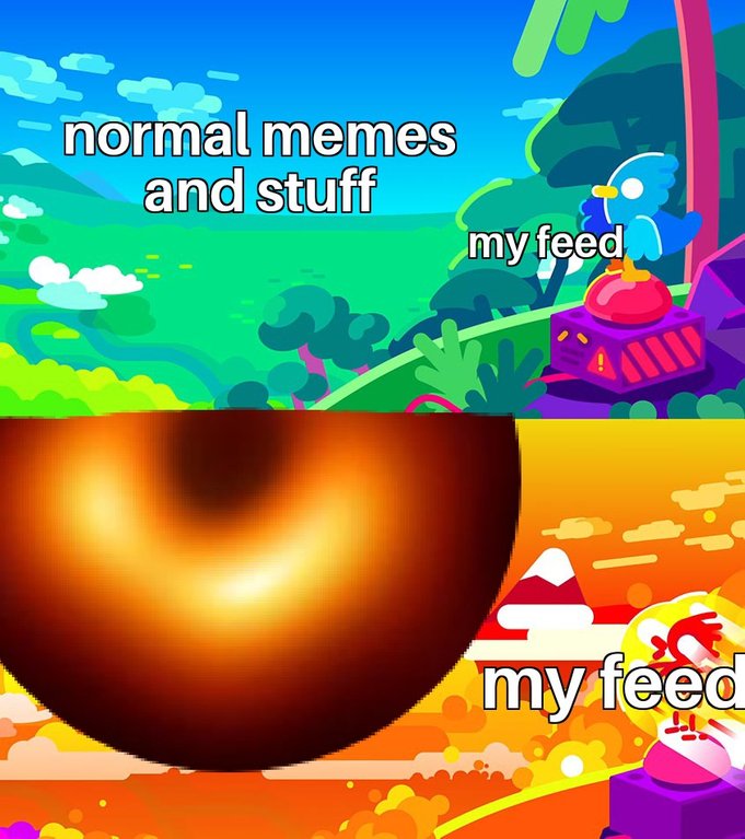 Exploding bird meme with the first ever photo of a black hole and captions, normal memes and stuff, and my feed.