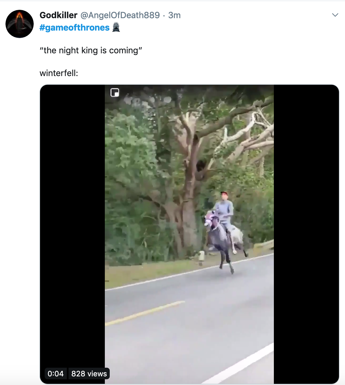 Game of Thrones Season 8 Episode 2 Meme - vide of a guy on a horse with the text 'the night king is coming'