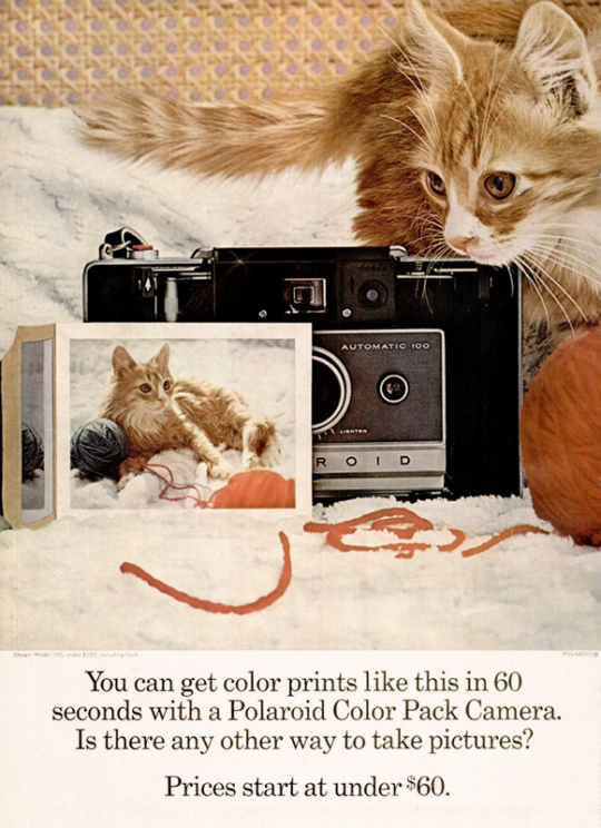 A Collection of Ads and Photos of Vintage Electronics