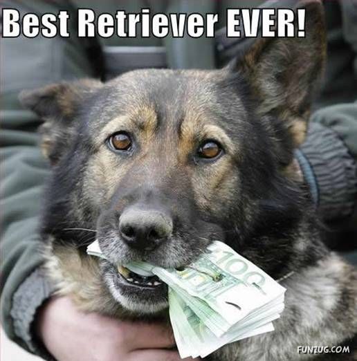 dog meme - funny animals - Best Retriever Ever! Funzug.Com