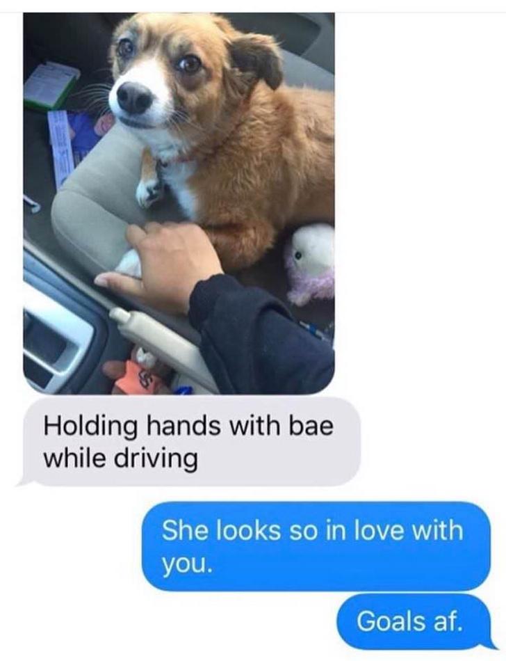 dog meme - text message animals - Holding hands with bae while driving She looks so in love with you. Goals af.