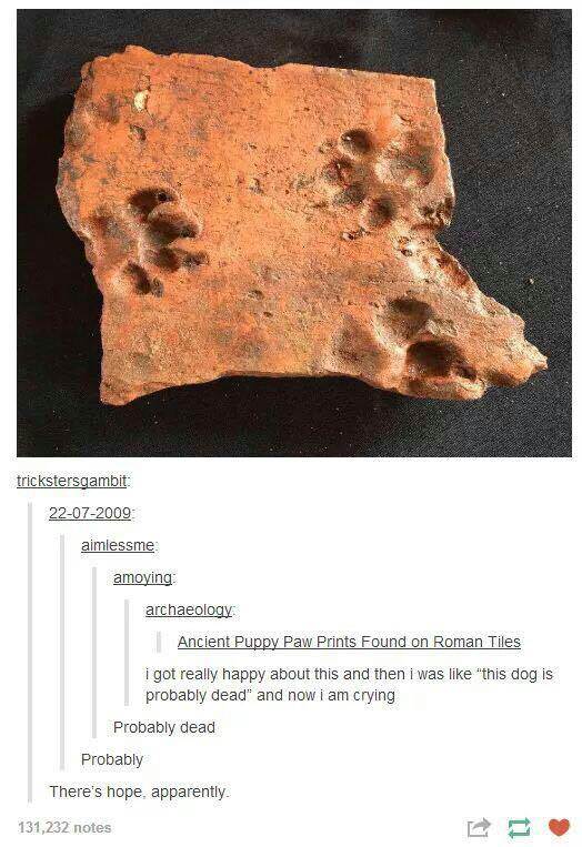 dog meme - ancient puppy paw prints - trickstersgambit 22072009 aimlessme amoying archaeology Ancient Puppy Paw Prints Found on Roman Tiles i got really happy about this and then i was this dog is probably dead and now i am crying Probably dead Probably T