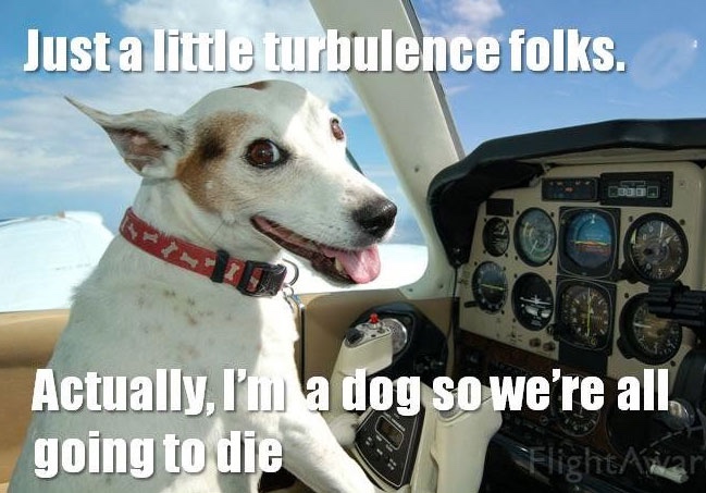 dog meme - funny dog memes - Just a little turbulence folks. Actually, I'm a dog so we're all going to die FlightAwar