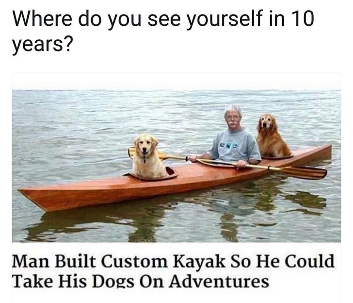 dog meme - dogs in kayak - Where do you see yourself in 10 years? Man Built Custom Kayak So He Could Take His Dogs On Adventures